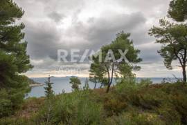 Agricultural 4877 sq.m for sale