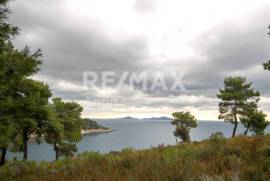 Agricultural 4877 sq.m for sale