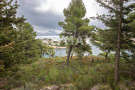 Agricultural 4877 sq.m for sale