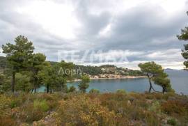 Agricultural 4877 sq.m for sale