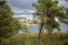 Agricultural 4877 sq.m for sale