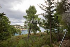 Agricultural 4877 sq.m for sale