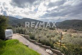 Agricultural 1225 sq.m for sale