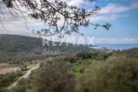 Agricultural 1225 sq.m for sale