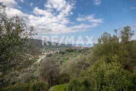 Agricultural 1225 sq.m for sale