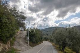 Agricultural 1225 sq.m for sale
