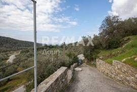 Agricultural 1225 sq.m for sale