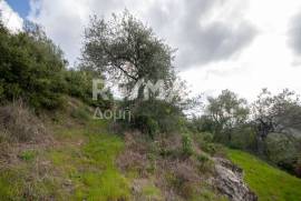 Agricultural 1225 sq.m for sale