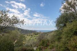 Agricultural 1225 sq.m for sale