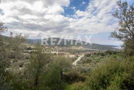 Agricultural 1225 sq.m for sale