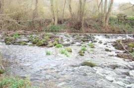 Agricultural land with 14790m²
