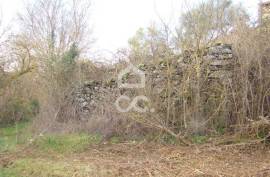 Agricultural land with 14790m²