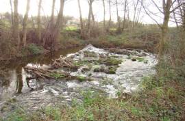 Agricultural land with 14790m²