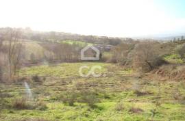 Agricultural land with 14790m²