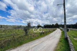 Land Viseu