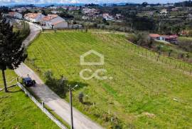Land Viseu