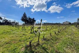 Land Viseu