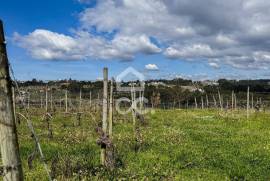 Land Viseu