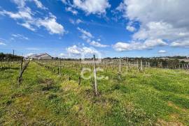 Land Viseu