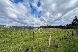 Land Viseu