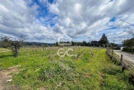 Land Viseu