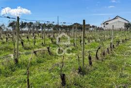 Land Viseu