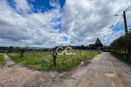 Land Viseu