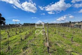 Land Viseu