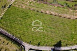 Land Viseu