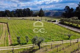 Land Viseu