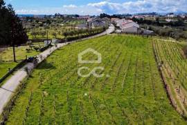 Land Viseu