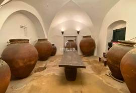 MANOR HOUSE IN TORREMOCHA (CÁCERES) – 555 M², PATIO, WINE CELLAR AND ELEVATOR