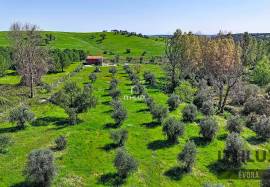 Soulful property in Alqueva