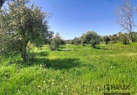 Soulful property in Alqueva