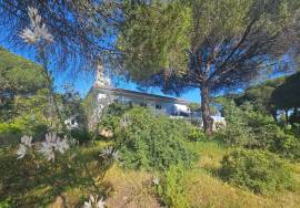 PROJECT: Quinta da Calma – A Legacy Retreat Center with a Private 3-Bedroom Villa on  over 7 ha near the Golden Triangle, Almancil