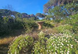 PROJECT: Quinta da Calma – A Legacy Retreat Center with a Private 3-Bedroom Villa on  over 7 ha near the Golden Triangle, Almancil