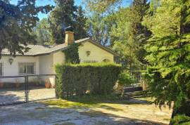 Peaceful Oasis Country Property Peaceful Oasis Country Property