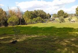 Peaceful Oasis Country Property Peaceful Oasis Country Property