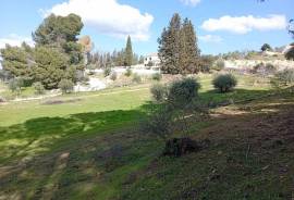 Peaceful Oasis Country Property Peaceful Oasis Country Property