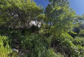 Ground Floor Gardeners Delight Townhouse