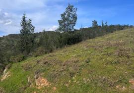 5.1 ha Land with Urban Expansion Potential Near Tavira 5.1 ha Land with Urban Expansion Potential Near Tavira