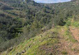 5.1 ha Land with Urban Expansion Potential Near Tavira 5.1 ha Land with Urban Expansion Potential Near Tavira