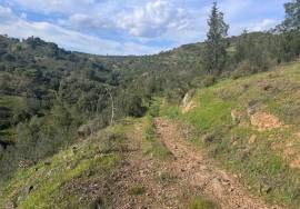5.1 ha Land with Urban Expansion Potential Near Tavira 5.1 ha Land with Urban Expansion Potential Near Tavira