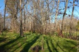 Excellent Farm Estate For Sale In Santa Comba Dao Viseu Portugal