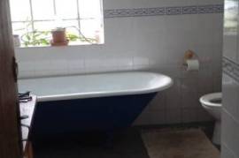 Excellent Farm Estate For Sale In Santa Comba Dao Viseu Portugal