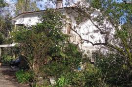 Excellent Farm Estate For Sale In Santa Comba Dao Viseu Portugal