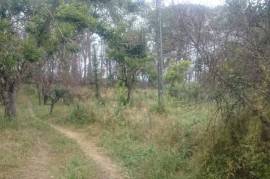 Excellent Farm Estate For Sale In Santa Comba Dao Viseu Portugal