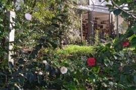 Excellent Farm Estate For Sale In Santa Comba Dao Viseu Portugal