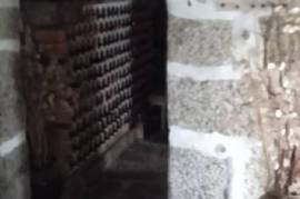 Excellent Farm Estate For Sale In Santa Comba Dao Viseu Portugal