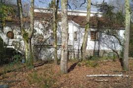 Excellent Farm Estate For Sale In Santa Comba Dao Viseu Portugal